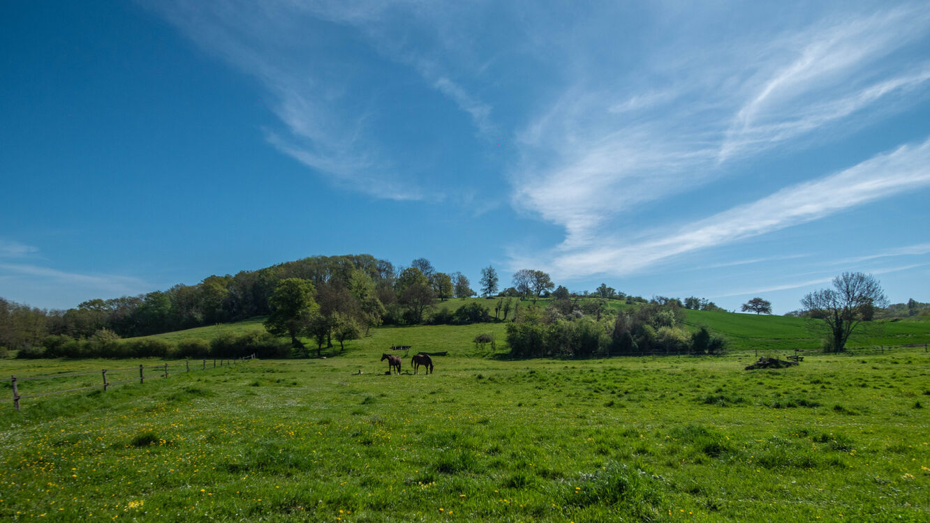  Prairies de Bouffignereux