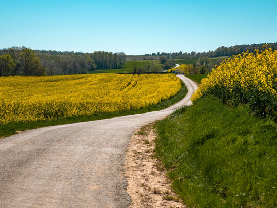 Chemin de randonnée