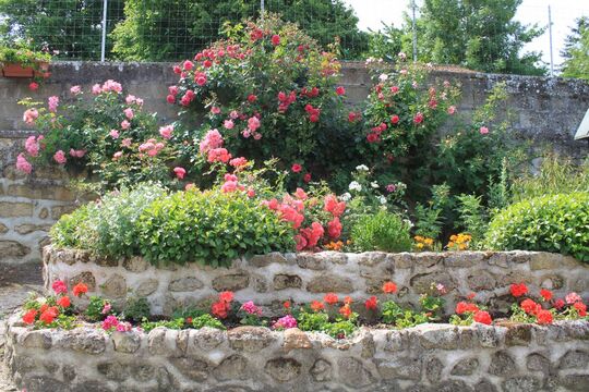 Rue des Marronniers